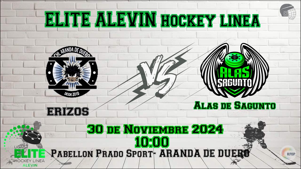 Erizos Vs Alas  hockey linea